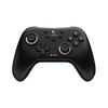 AceGamer Aurora Wireless Controller